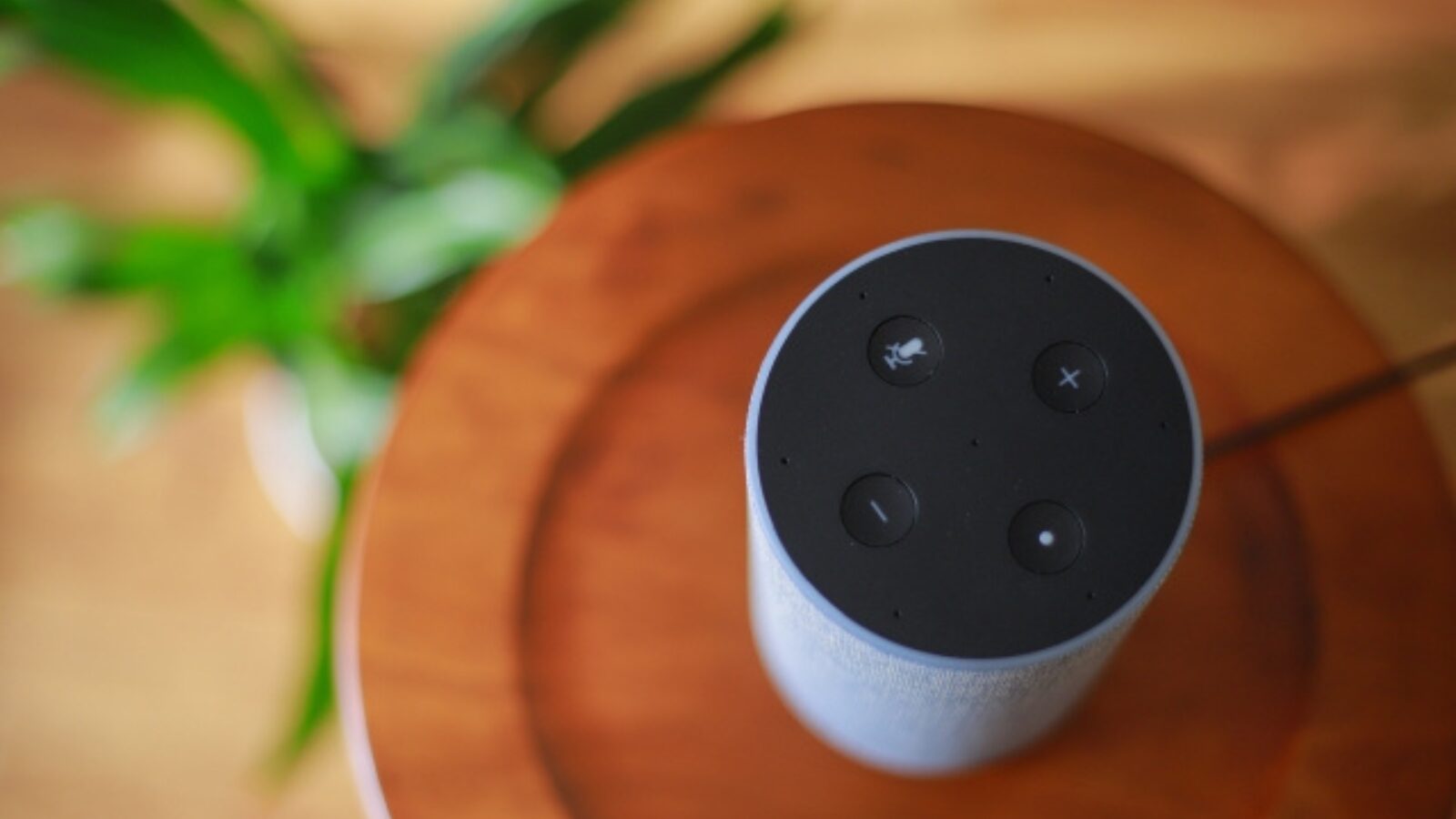 アレクサ×スマートリモコンで快適な暮らしを実現｜50代女性の体験レビュー