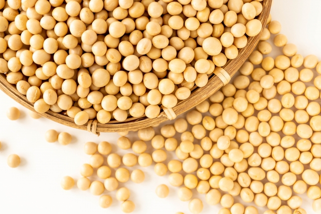 大豆